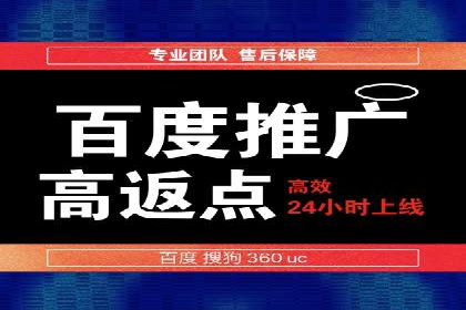 SEM服务案例：打造行业领先品牌